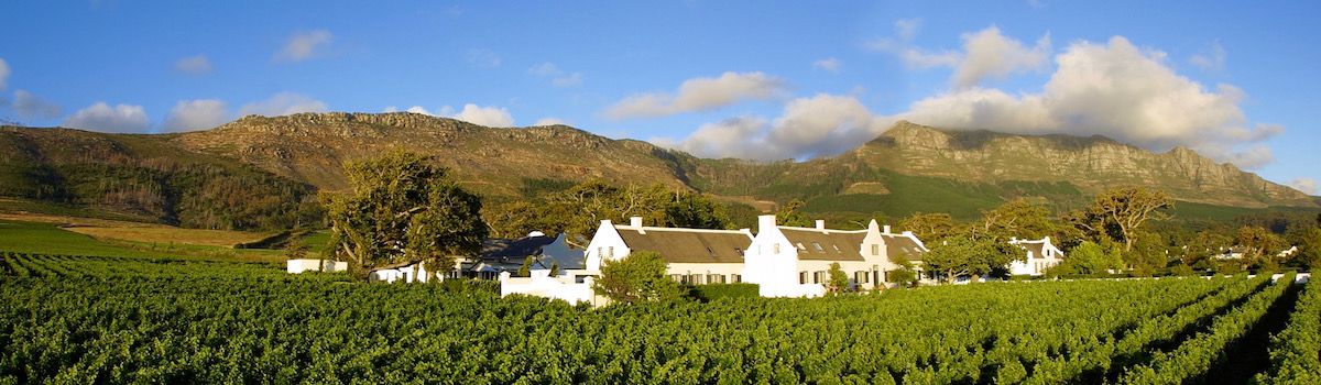 Vineyards Cape Town la Baia