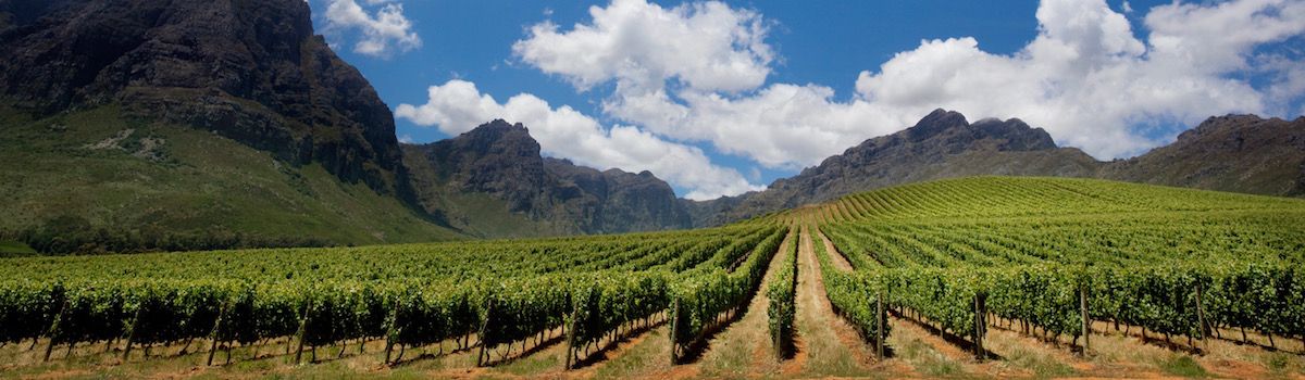 Wine in Cape Town la Baia Camps Bay villa rental