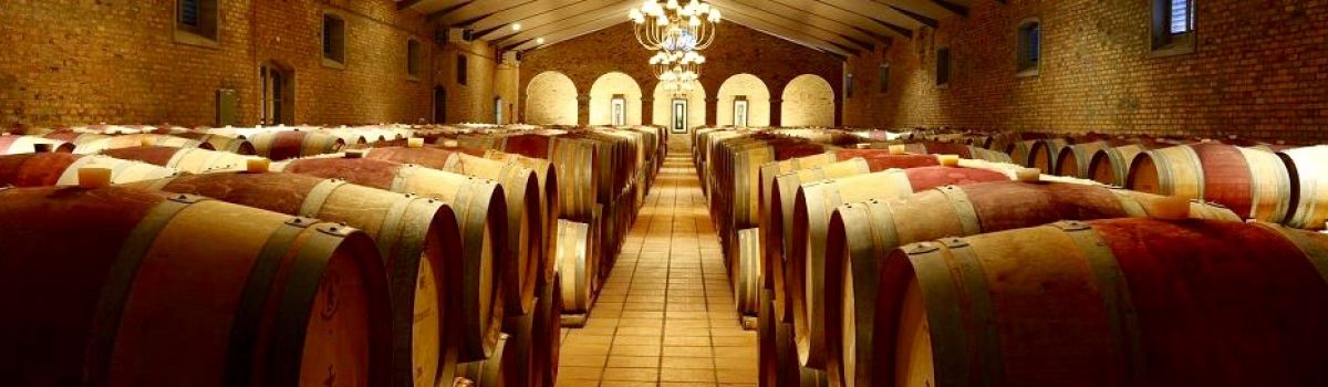 Wine tours from la Baia villa Camps Bay in Cape Town